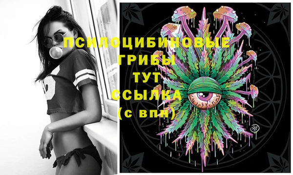 дживик Новозыбков