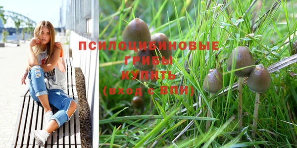 спиды Новокубанск