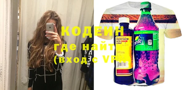 соль ск Дмитриев
