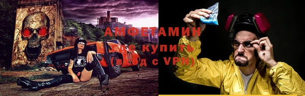 соль ск Дмитриев