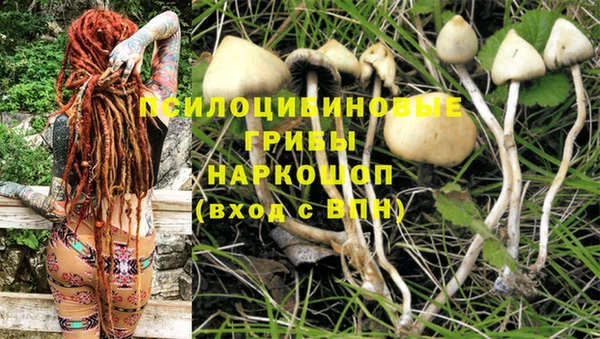 кокаин колумбия Дмитровск