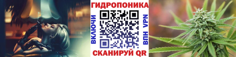 даркнет наркотические препараты  Пикалёво  Канабис индика 